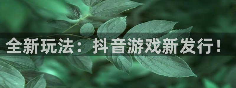 pp电子电子商务有限公司地址：全新玩法：抖音游戏新发行！