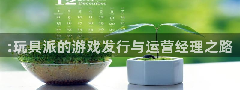 四川pp电子科技有限公司怎么样：:玩具派的游戏发行与运营经理之路