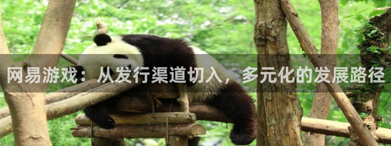 pp电子子传媒集团ceo：网易游戏：从发行渠道切入，多元化的发展路径