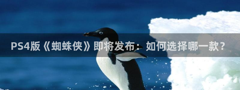 pp电子官网平台注册账号注意事项：PS4版《蜘蛛侠》即将发布：如何选择哪一款？