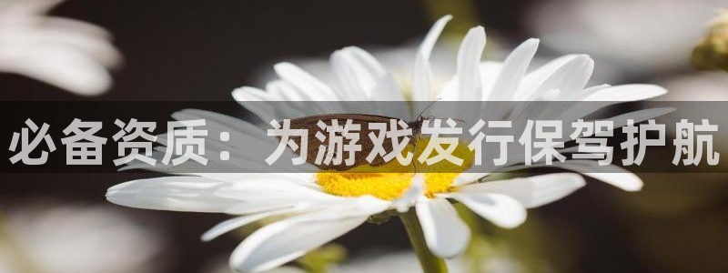 pp电子子上市：必备资质：为游戏发行保驾护航