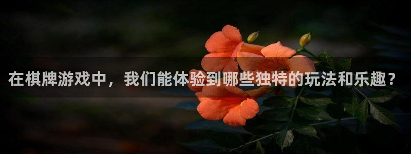 深圳市pp电子科技有限招聘公司：在棋牌游戏中，我们能体验到哪些独特的玩法和乐趣？