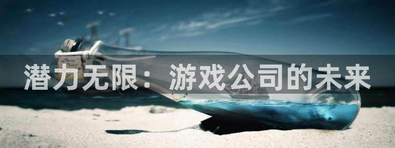 pp电子电子商务有限公司怎么样