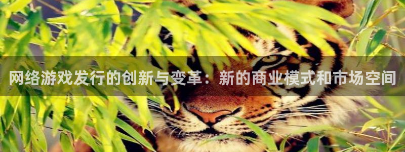 pp电子服装品牌：网络游戏发行的创新与变革：新的商业模式和市场空间
