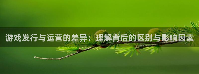 pp电子子文化是什么：游戏发行与运营的差异：理解背后的区别与影响因素