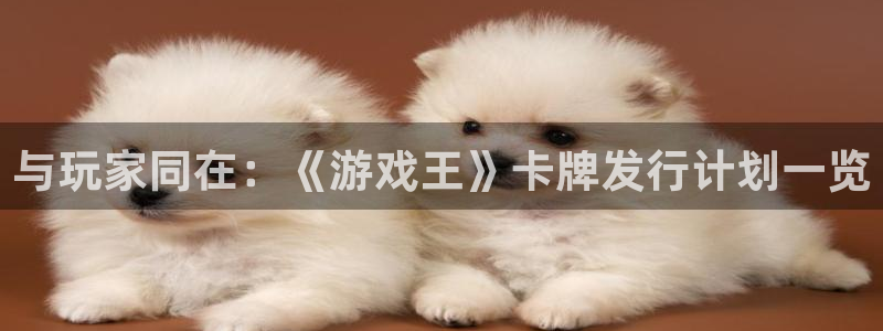 pp电子品牌顾问有限公司：与玩家同在：《游戏王》卡牌发行计划一览