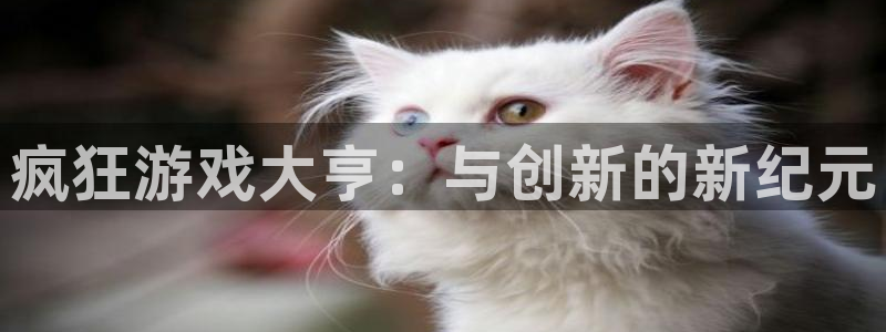 pp电子子经理人读后感：疯狂游戏大亨：与创新的新纪元