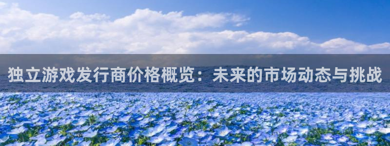 pp电子子赚话费：独立游戏发行商价格概览：未来的市场动态与挑战