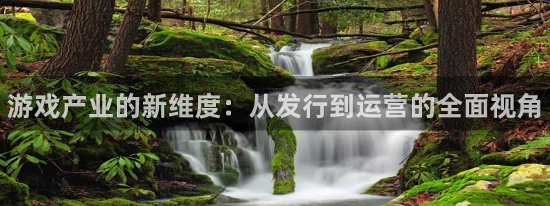 pp电子官网登录注册账号安全吗安全吗：游戏产业的新维度：从发行到运营的全面视角