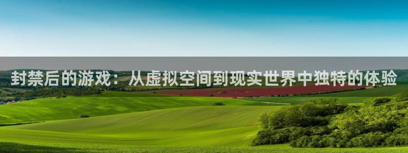 pp电子子文化创意加好友：封禁后的游戏：从虚拟空间到现实世界中独特的体验