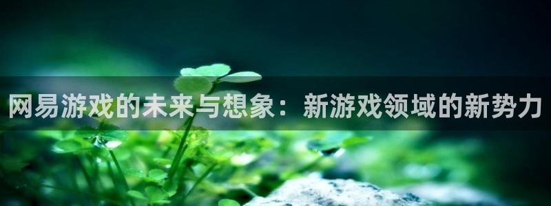 pp电子品牌：网易游戏的未来与想象：新游戏领域的新势力