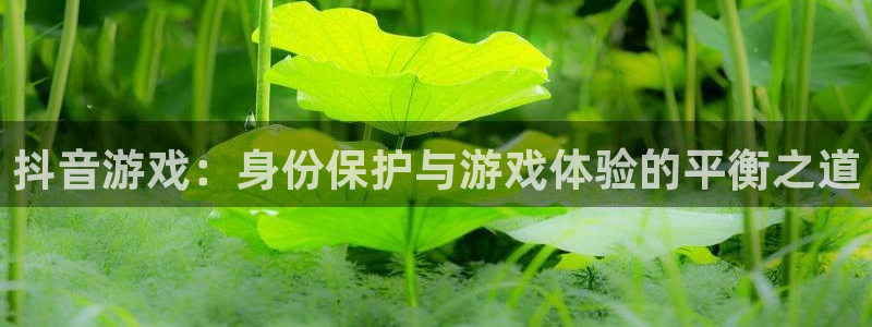 pp电子官网登录注册失败：抖音游戏：身份保护与游戏体验的平衡之道