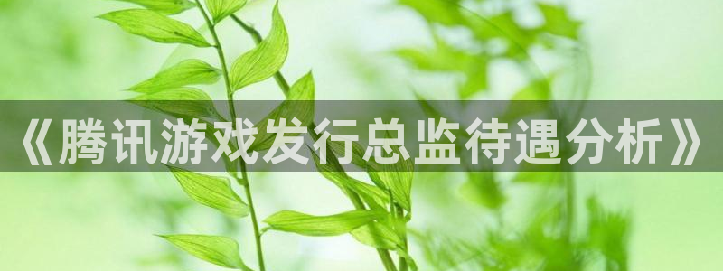 陕西pp电子子文化创意有限公司是做什么的