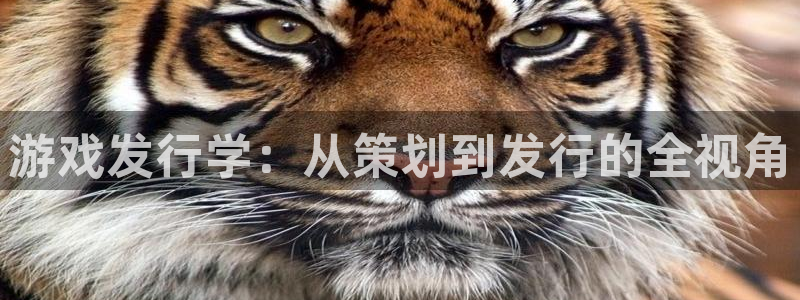 pp电子官网下载分分彩