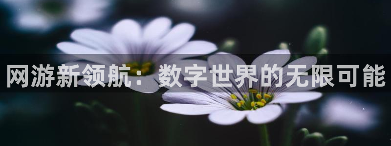 pp电子官网注册平台怎么注册不了